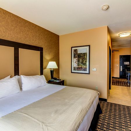 Holiday Inn Arlington Northeast By Ihg Exteriör bild